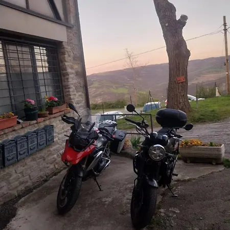 La Corte Dei Celti 9 *